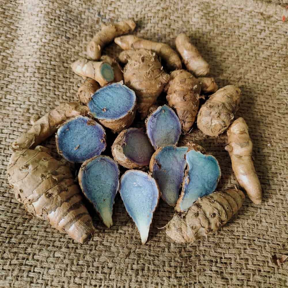 Black Turmeric Exporter in Vijayawada