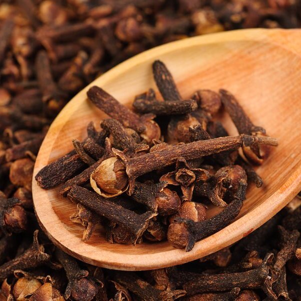 Clove Exporter in Singapore