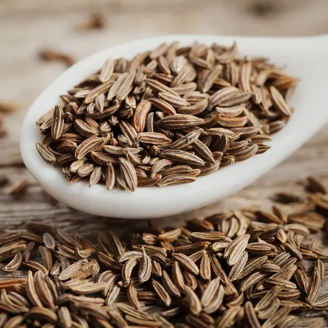 Cumin seed Exporter in Hawaii